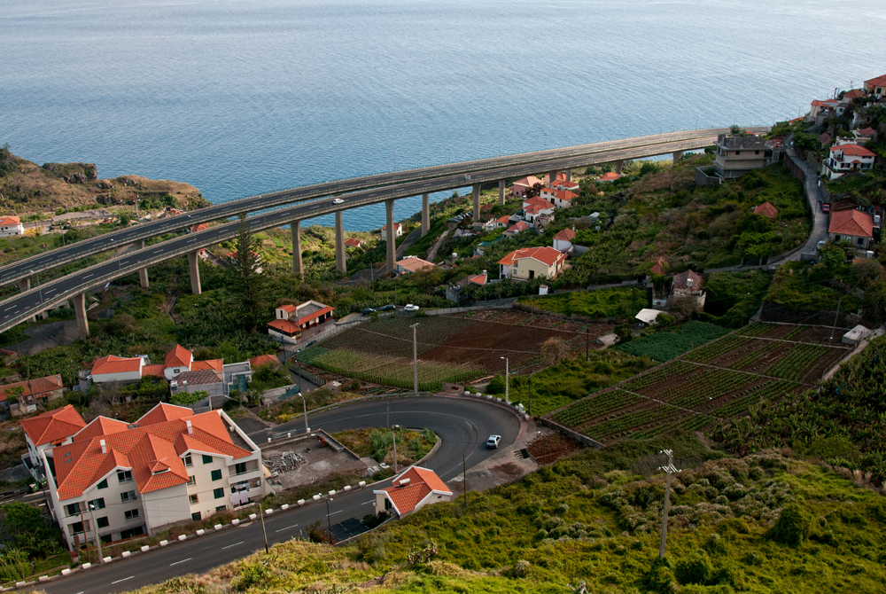 375_Madera_w drodze do Ribeira Brava.jpg